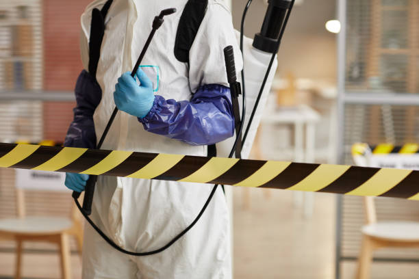 Professional Hoarding Cleanup technician working in East Moriches, NY